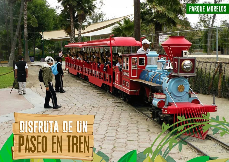 Morelos train