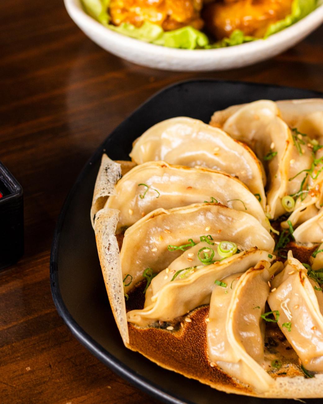 Takunoya Gyoza