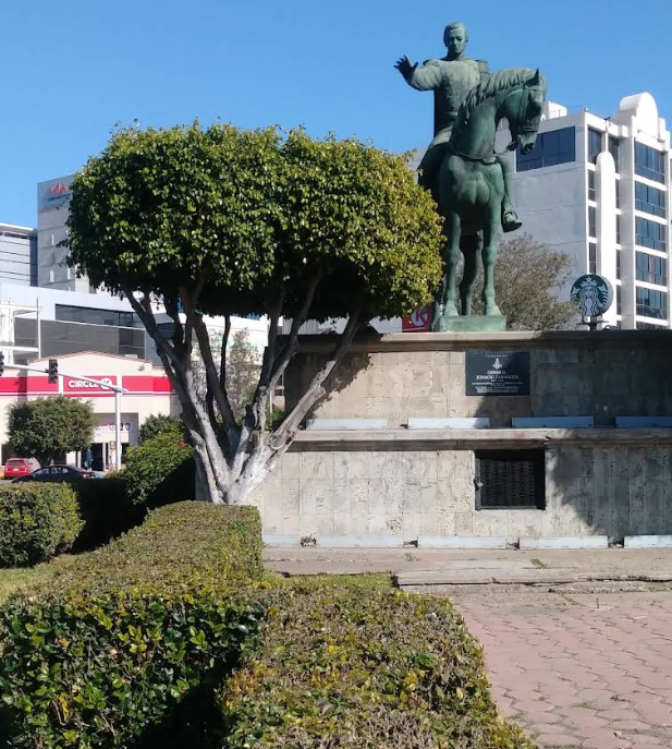 Zaragoza arbol