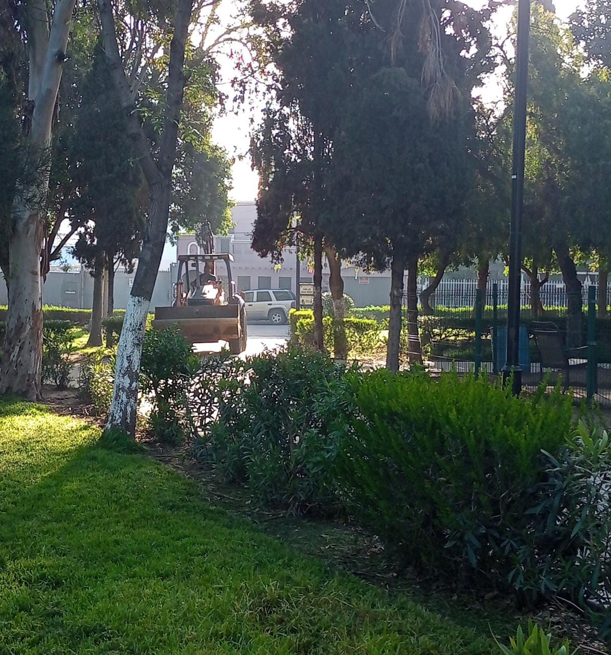 palmas parque
