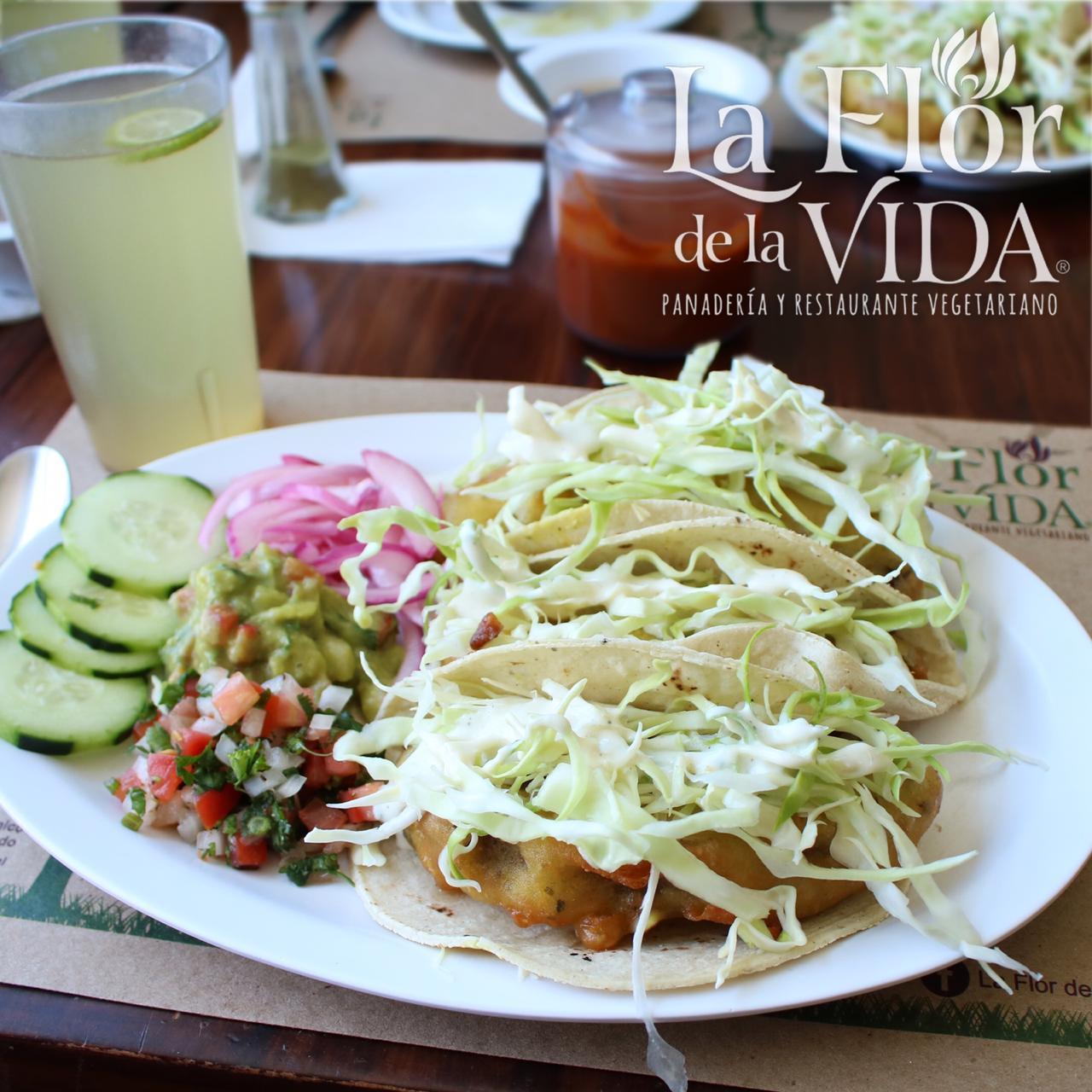 vida lechuga
