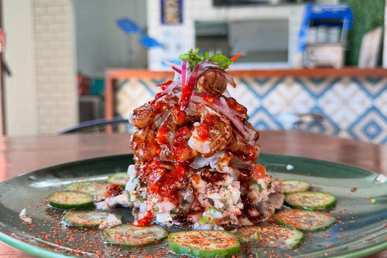 elangel salsa