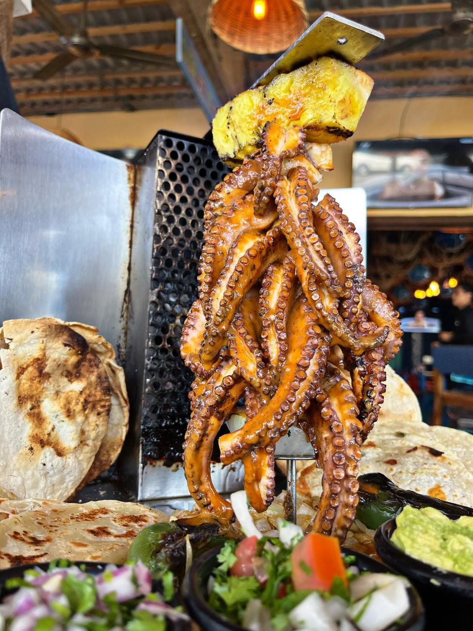 muchacho pulpo