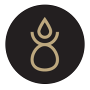 Bravos logo