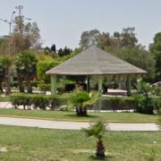 amp parque