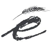 etereo logo