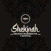 Sheklogo