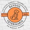 logo raydog
