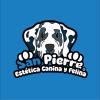 sanpierre logo