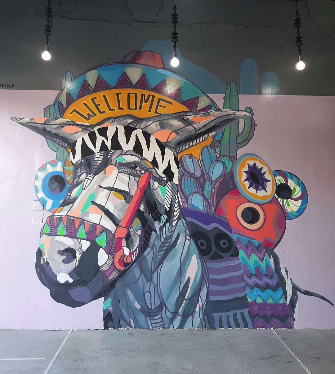 Pasaje Mex burro