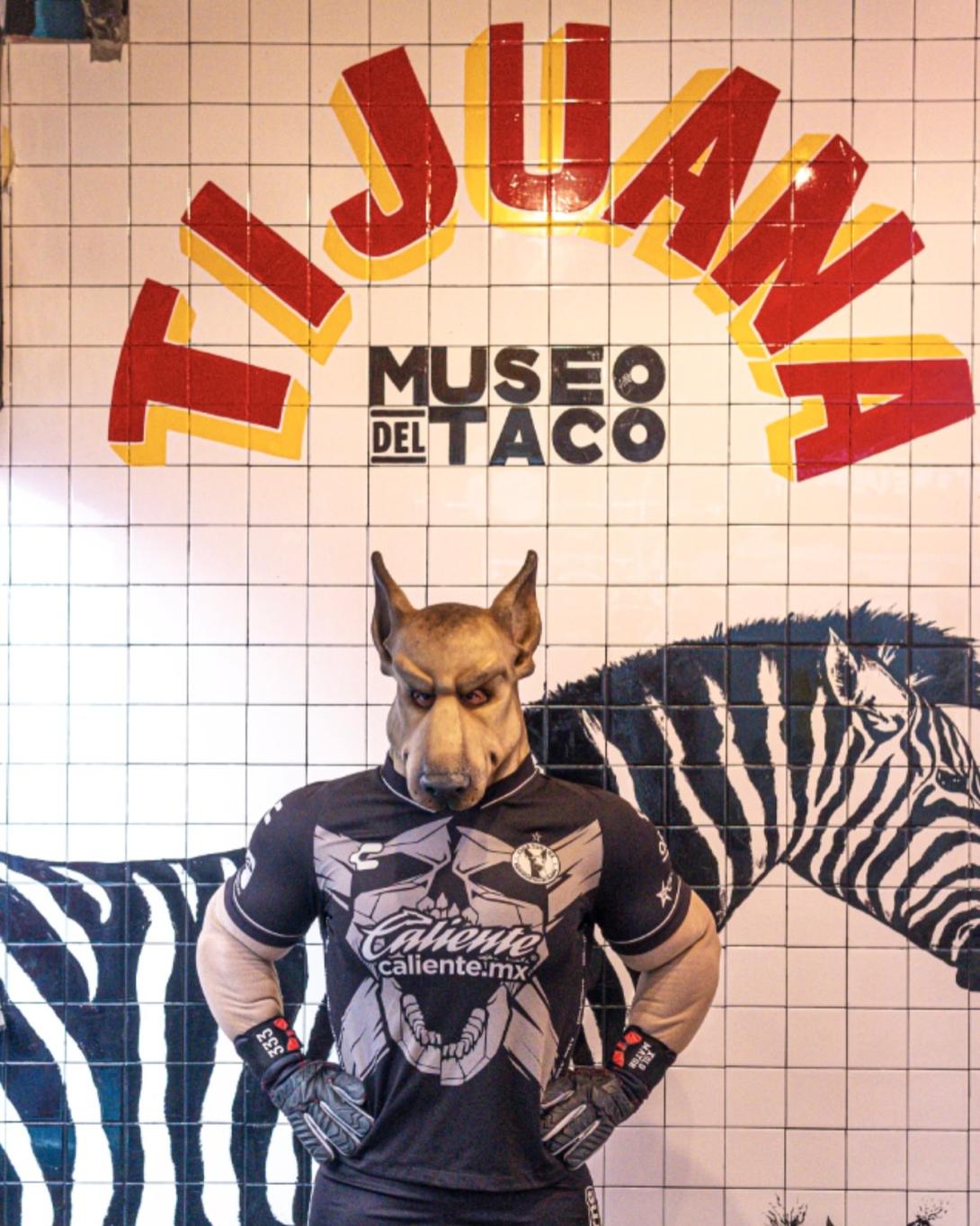 Taco perro
