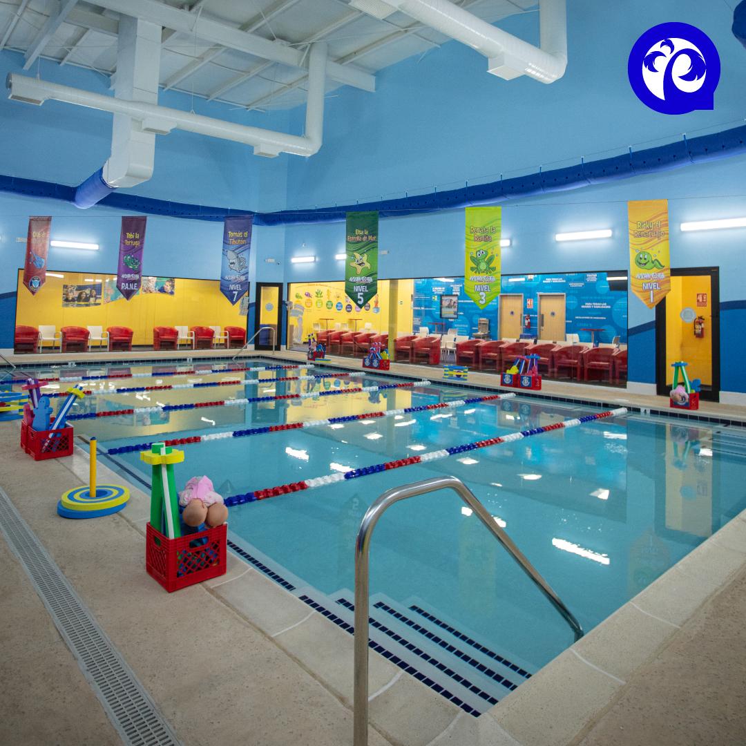 Pacifico pool
