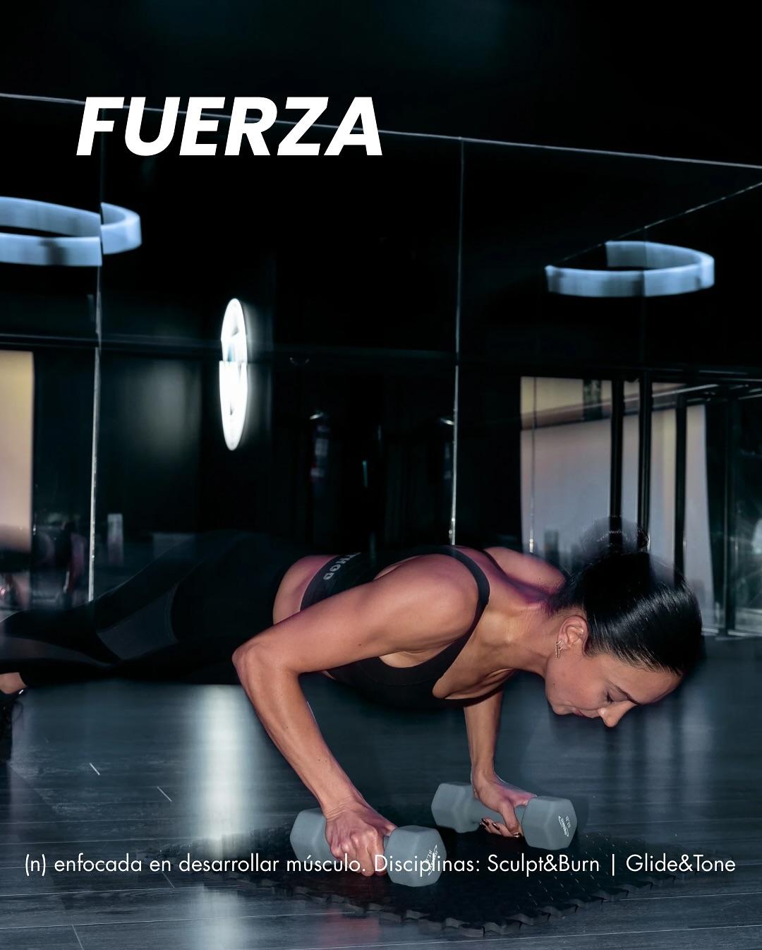 bodymethod fuerza