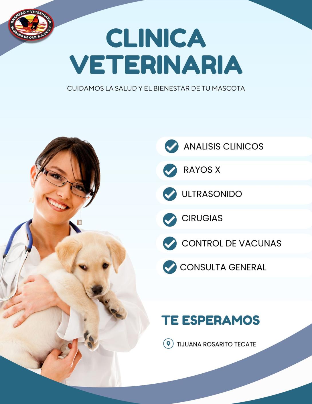 grano de oro vet