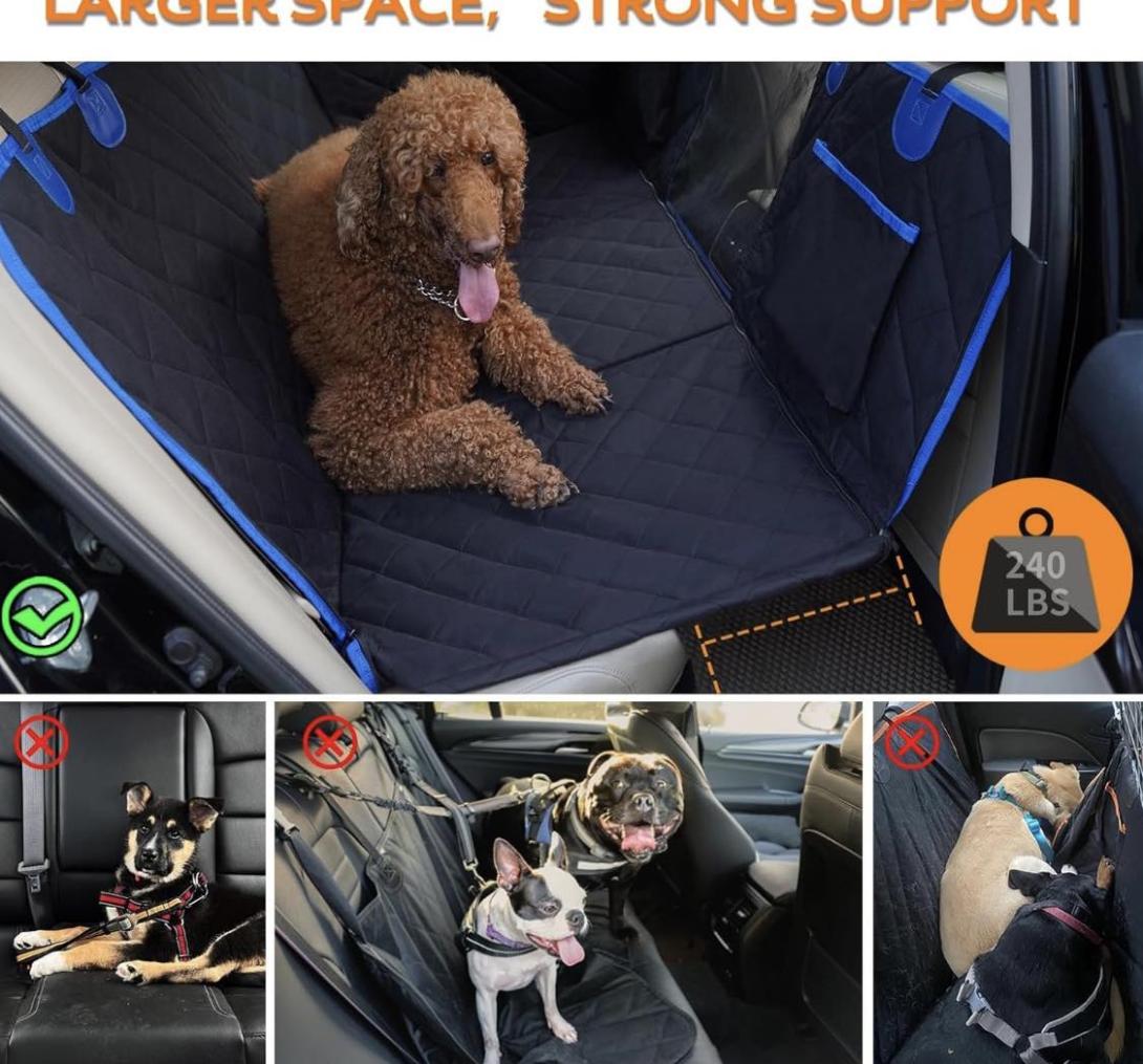 dogban carro
