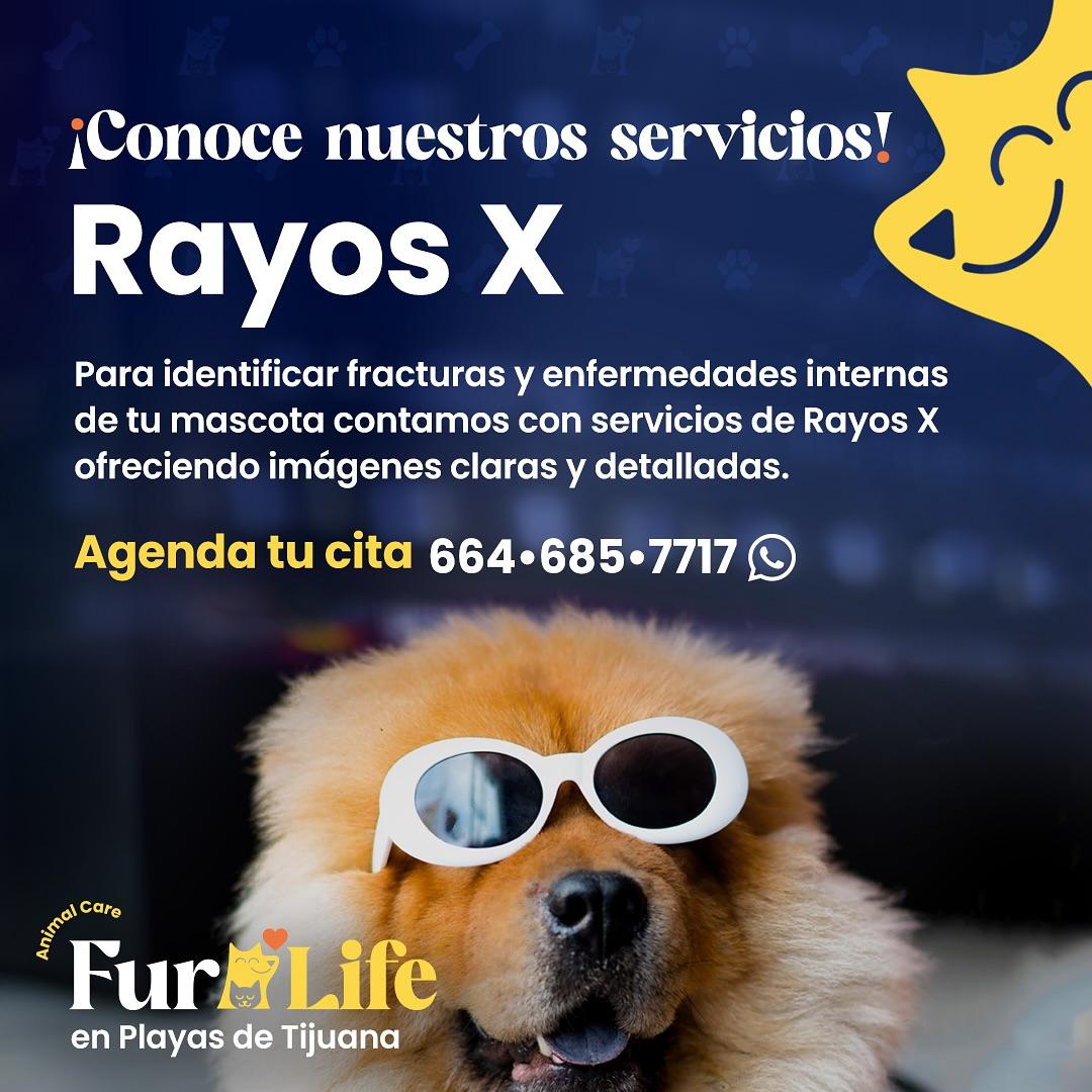Furlife rayosx