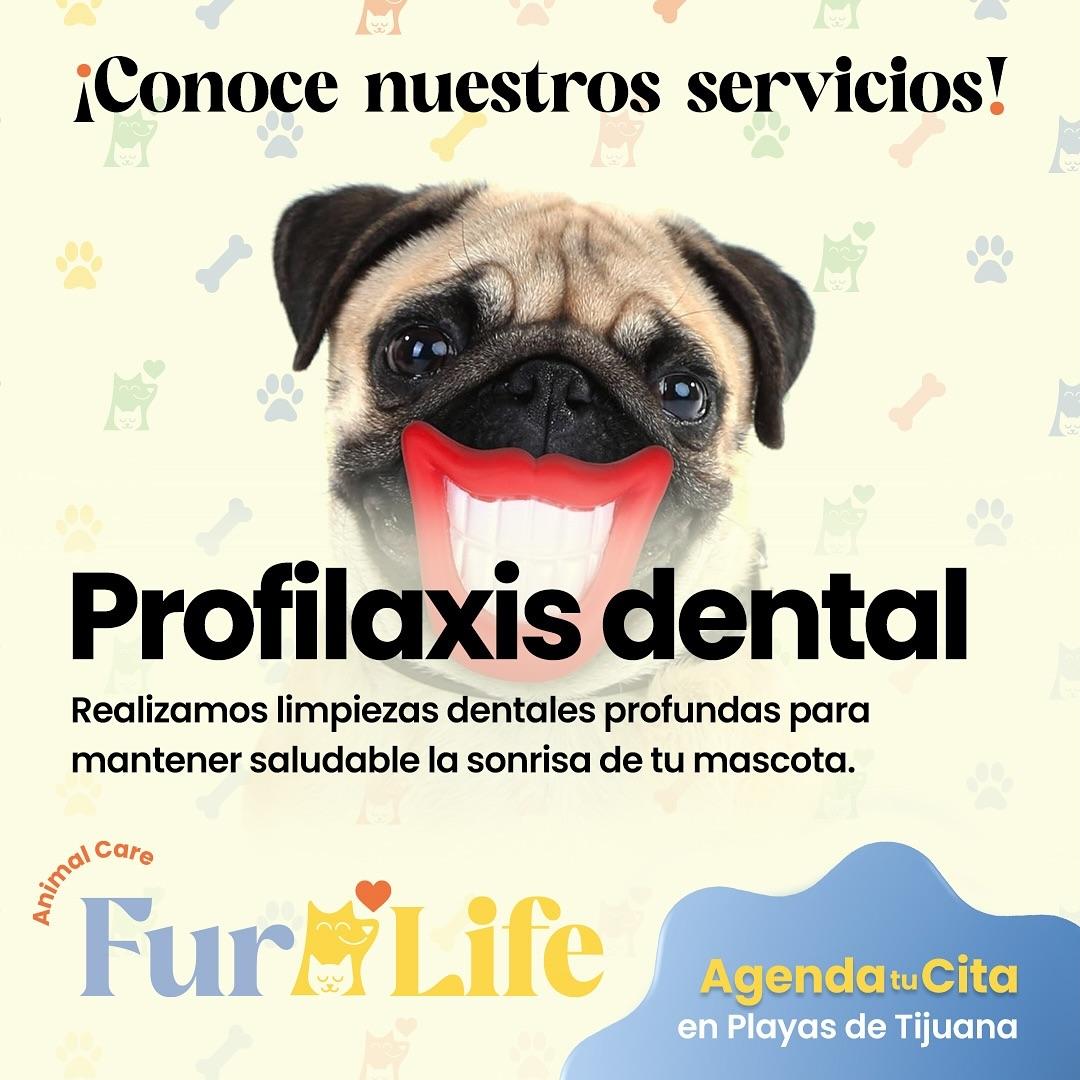 Furlife dental