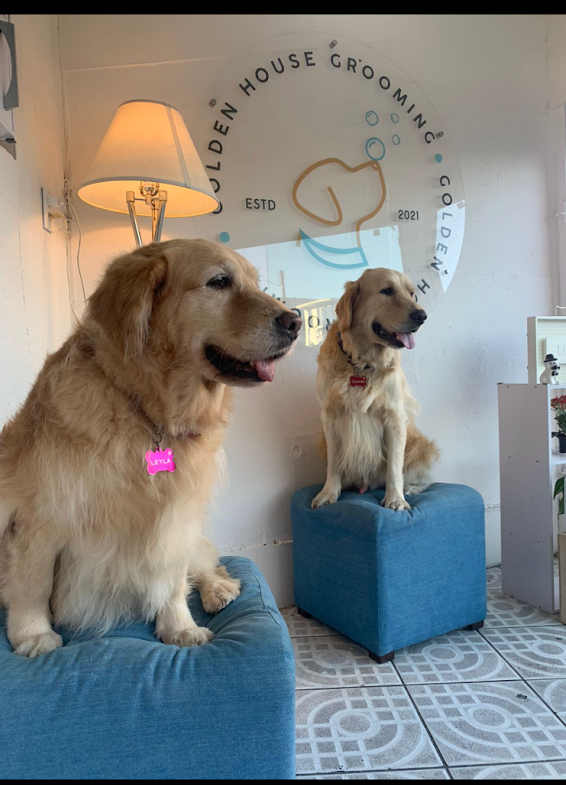 golden duo