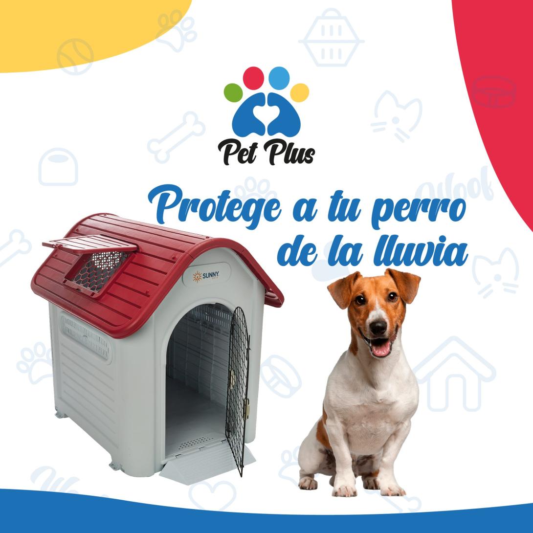 pet plus casita