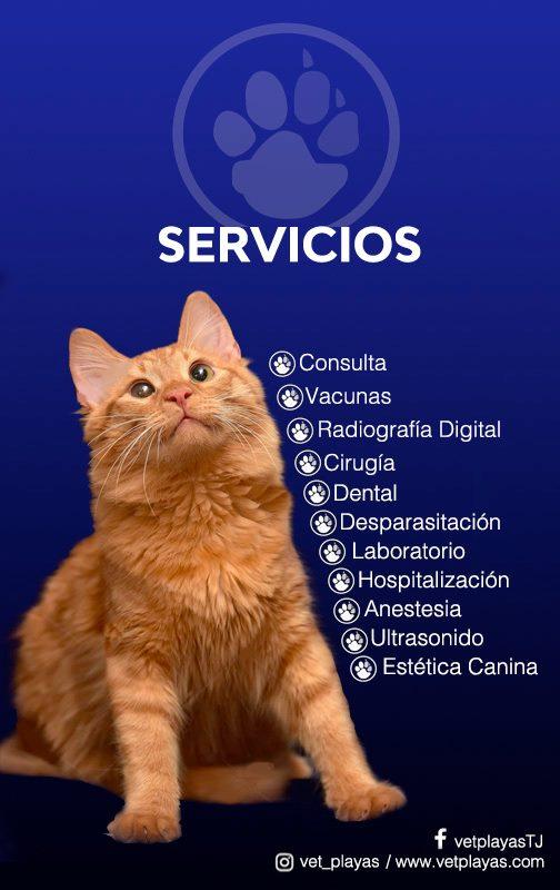 vet playas lista