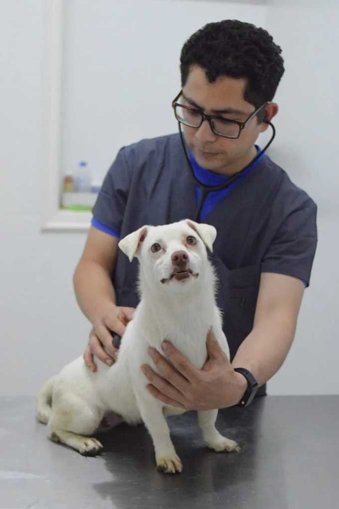 Vetzone doc