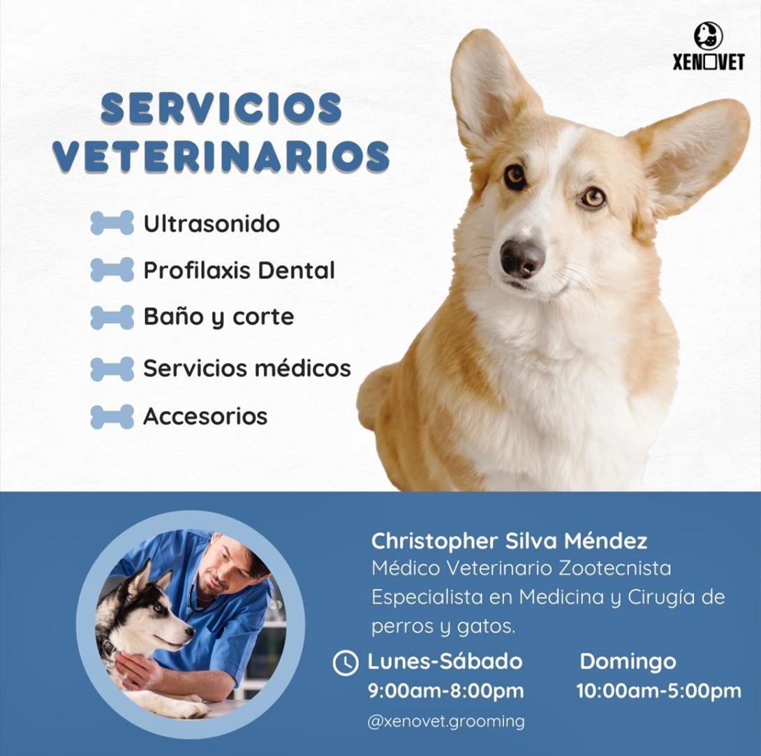 Xenovet lista