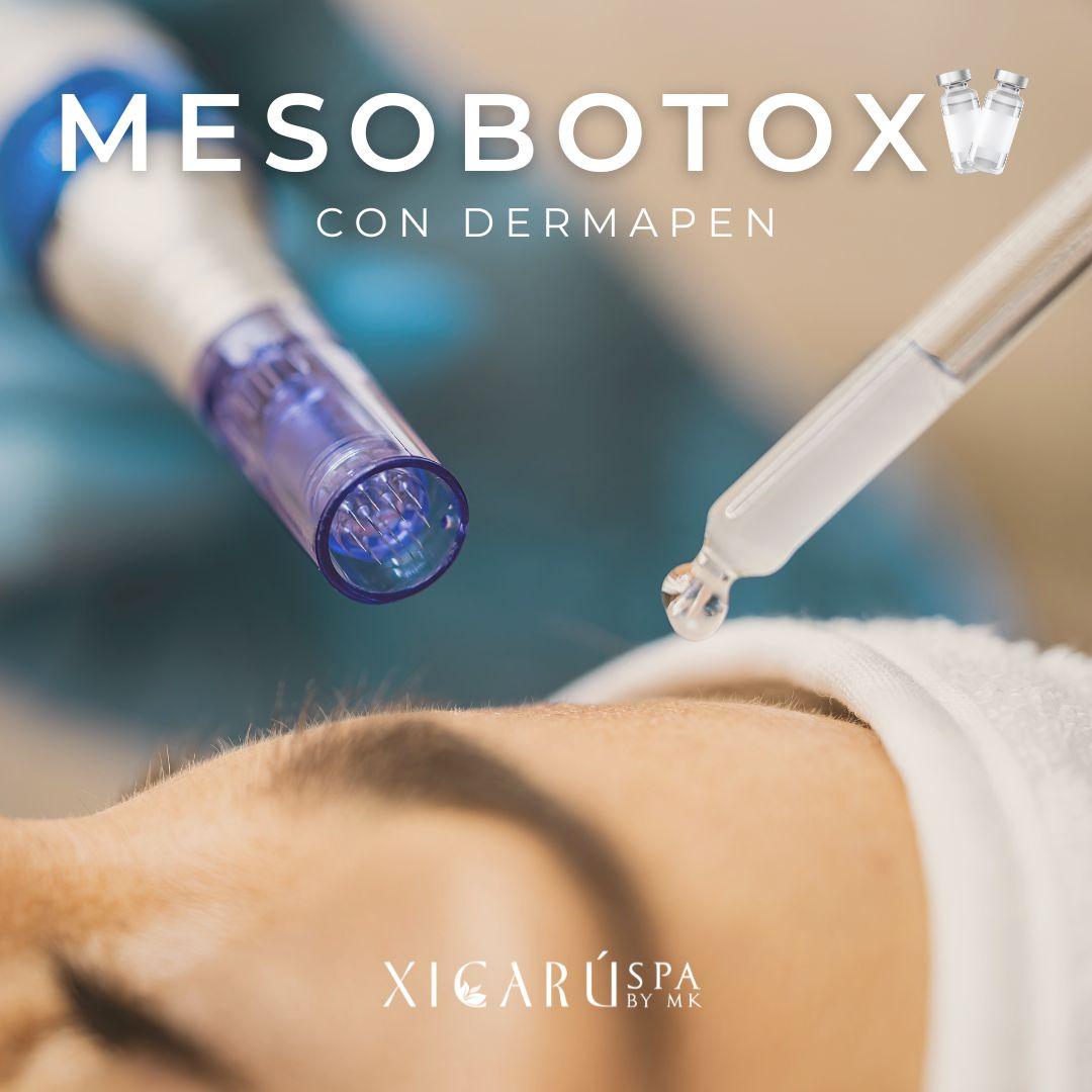 Xicaru meso