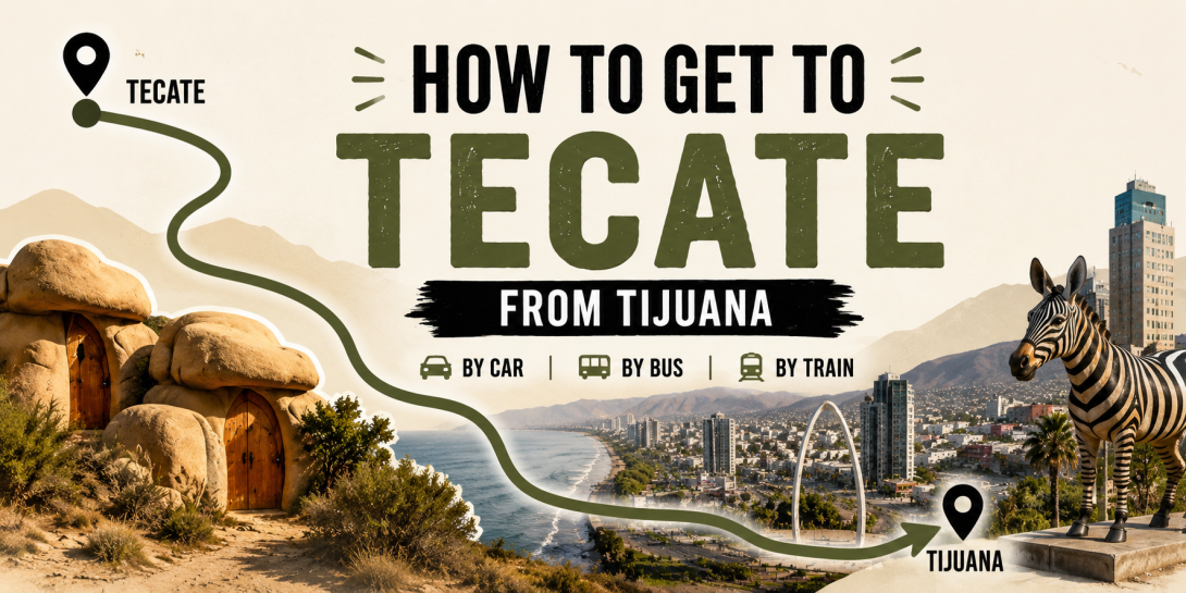 Portada tecate